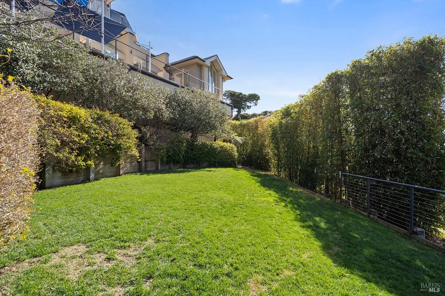 Tiburon Hillside Residence photo 16